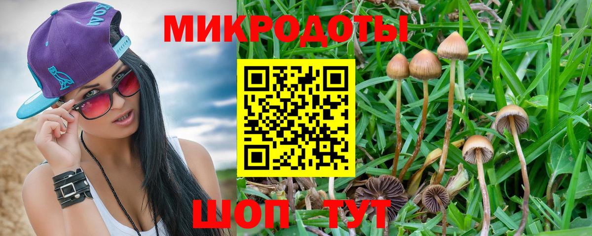 Псилоцибиновые грибы Magic Shrooms Златоуст