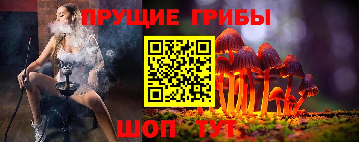 Галлюциногенные грибы прущие грибы  Вход с VPN  наркота  Златоуст 
